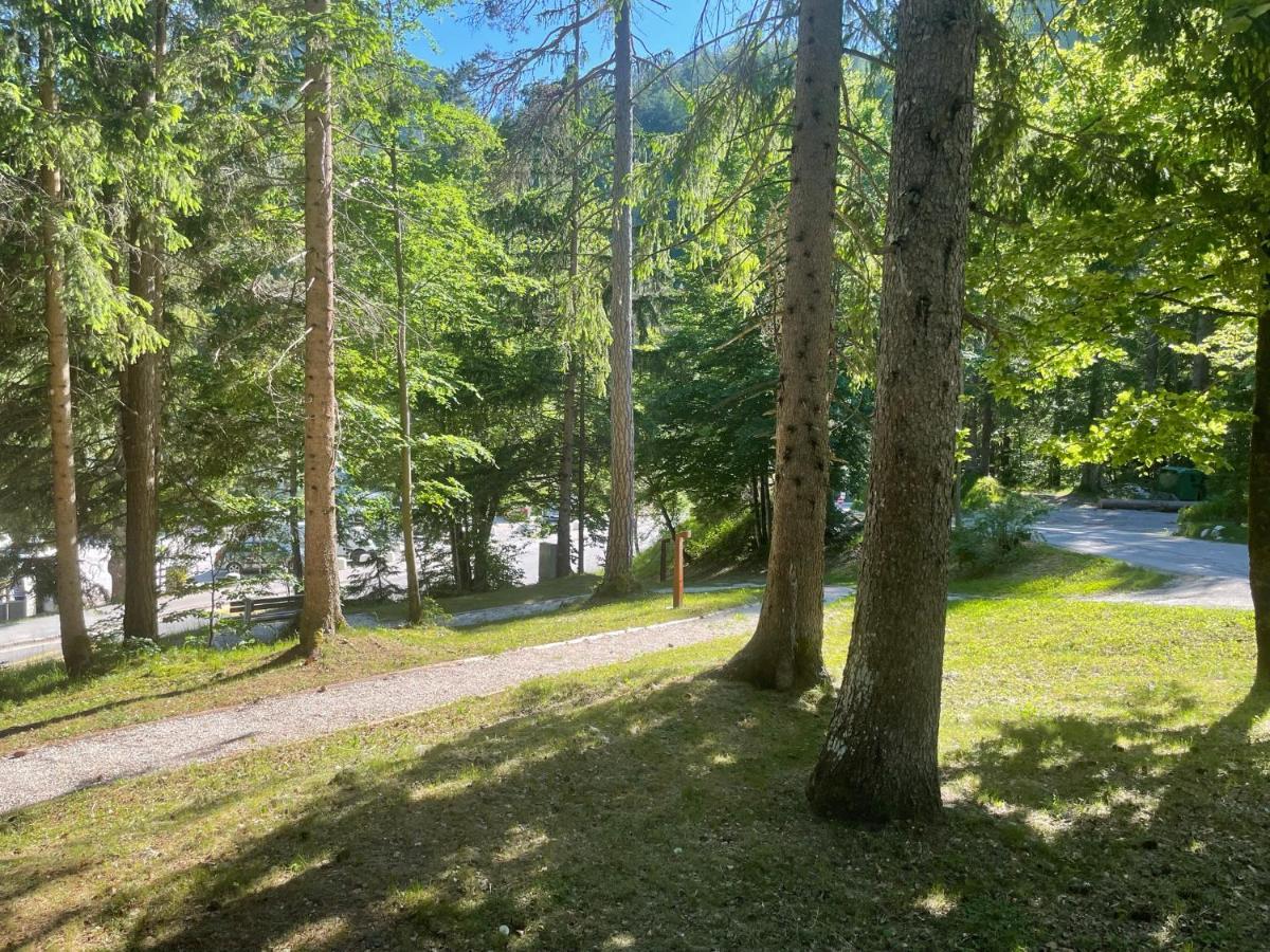 Martinov Dom Apartment Kranjska Gora